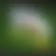 Zagraj Let It Ride z Playtech w {"id":76,"name":"SG Casino","design":{"logo":"sg-casino-logo-wjVZic.svg","favicon":"sg-casino-favicon-eS4YLM.png","banner_poker":"sg-casino-poker-72pYFP.webp","banner_mobile":"sg-casino-mobile-t3a5VD.webp","block_bg_color":"#3B82F6","image_bg_color":"#1E3A8A","banner_bg_color":"#3b82f6","block_text_color":"#ffffff","primary_bg_color":"#1e3a8a","banner_text_color":"#fff","footer_logos_type":"white","block_round_radius":"0.75rem","primary_text_color":"#ffffff","button_round_radius":"0.75rem","banner_welcome_bonus":"sg-casino-welcome-bonus-cEBKK5.webp","primary_button_bg_color":"#facc15","primary_button_text_color":"#b91c1c","secondary_button_bg_color":"#67E8F9","secondary_button_text_color":"#1E3A8A"},"created_at":"2025-05-14T09:25:22.000000Z","updated_at":"2025-05-14T09:25:22.000000Z","deleted_at":null}